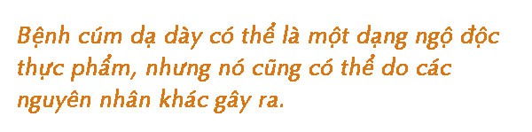 Phân biệt cúm dạ dày cấp tính do virus và ngộ độc thực phẩm - Ảnh 3.