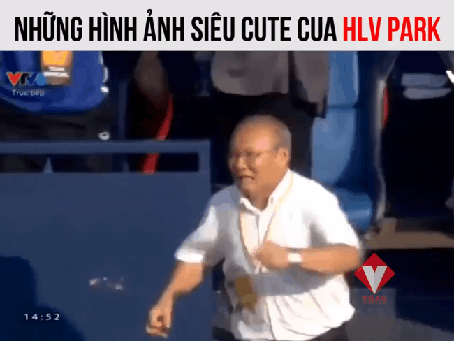 Những khoảnh khắc cực đáng yêu của HVL trưởng U23 Việt Nam Park Hang Seo khiến dân mạng sốt xình xịch - Ảnh 2.