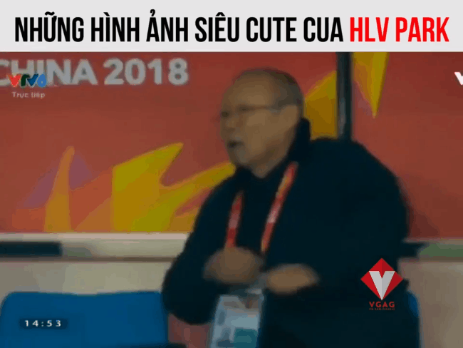 Những khoảnh khắc cực đáng yêu của HVL trưởng U23 Việt Nam Park Hang Seo khiến dân mạng sốt xình xịch - Ảnh 8.
