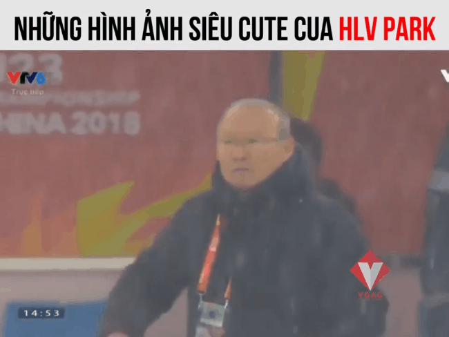 Những khoảnh khắc cực đáng yêu của HVL trưởng U23 Việt Nam Park Hang Seo khiến dân mạng sốt xình xịch - Ảnh 10.
