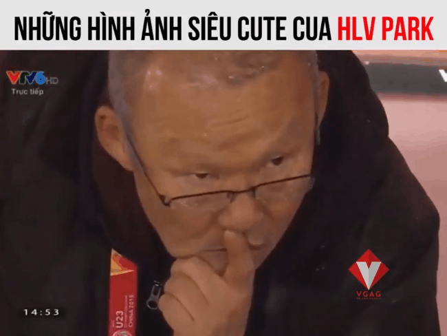 Những khoảnh khắc cực đáng yêu của HVL trưởng U23 Việt Nam Park Hang Seo khiến dân mạng sốt xình xịch - Ảnh 11.
