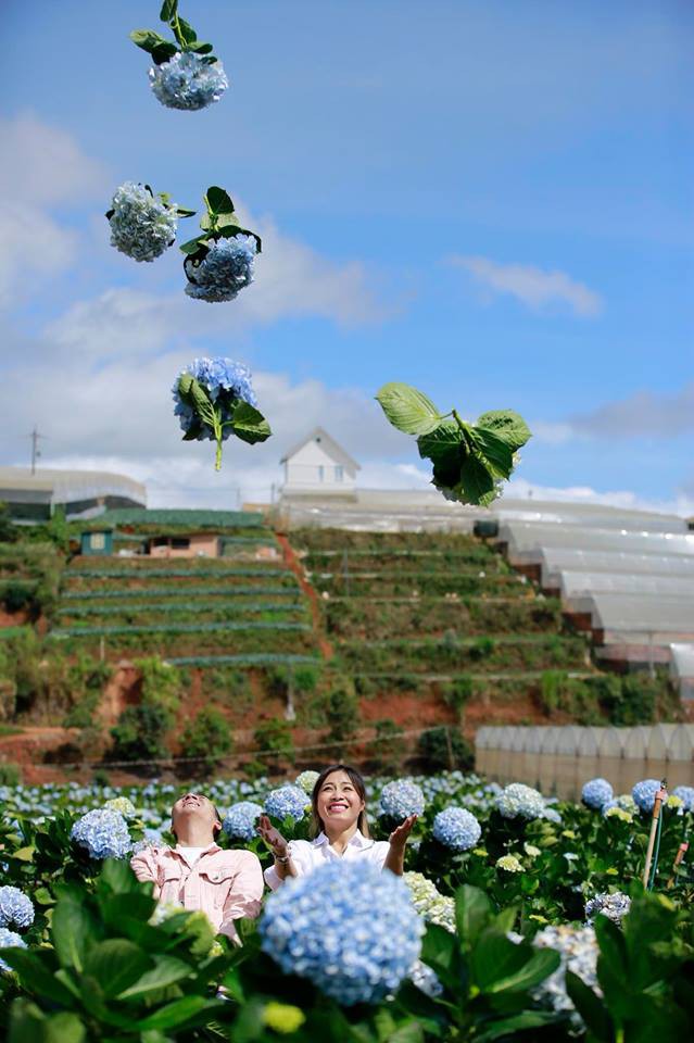 MC Hoàng Linh hạnh phúc như cô gái lần đầu biết yêu trong bộ ảnh cưới tại vườn cẩm tú cầu Đà Lạt - Ảnh 15.