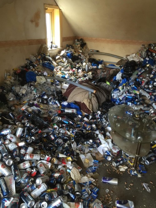 Cho thuê nhà 12 năm, chủ nhà khóc thét khi thấy căn phòng tan hoang như bãi rác - Ảnh 1.