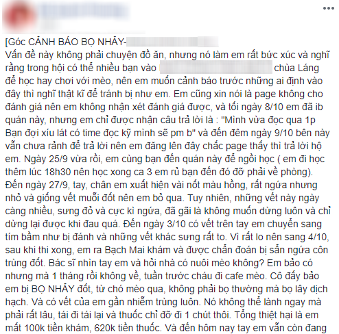 Cô nàng số nhọ: đi cà phê mèo về bỗng tốn thêm 720k tiền chữa trị vì bị bọ nhảy đốt tan nát cánh tay - Ảnh 2.