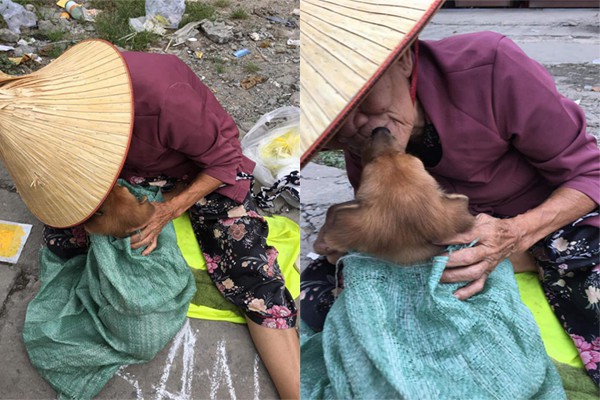 Rưng rưng với nụ hôn và giọt nước mắt tiễn biệt của cụ bà trước khi bán chú chó nhỏ đổi tiền chữa bệnh - Ảnh 2. Rưng rưng với nụ hôn và giọt nước mắt tiễn biệt của cụ bà trước khi bán chú chó nhỏ đổi tiền chữa bệnh - Ảnh 2.