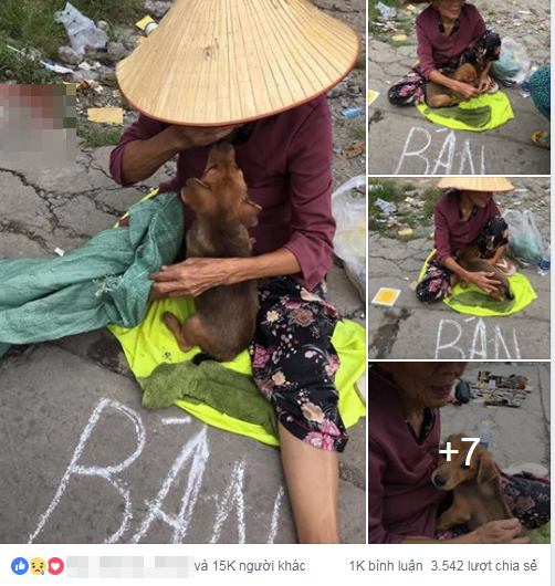 Rưng rưng với nụ hôn và giọt nước mắt tiễn biệt của cụ bà trước khi bán chú chó nhỏ đổi tiền chữa bệnh - Ảnh 1. Rưng rưng với nụ hôn và giọt nước mắt tiễn biệt của cụ bà trước khi bán chú chó nhỏ đổi tiền chữa bệnh - Ảnh 1.