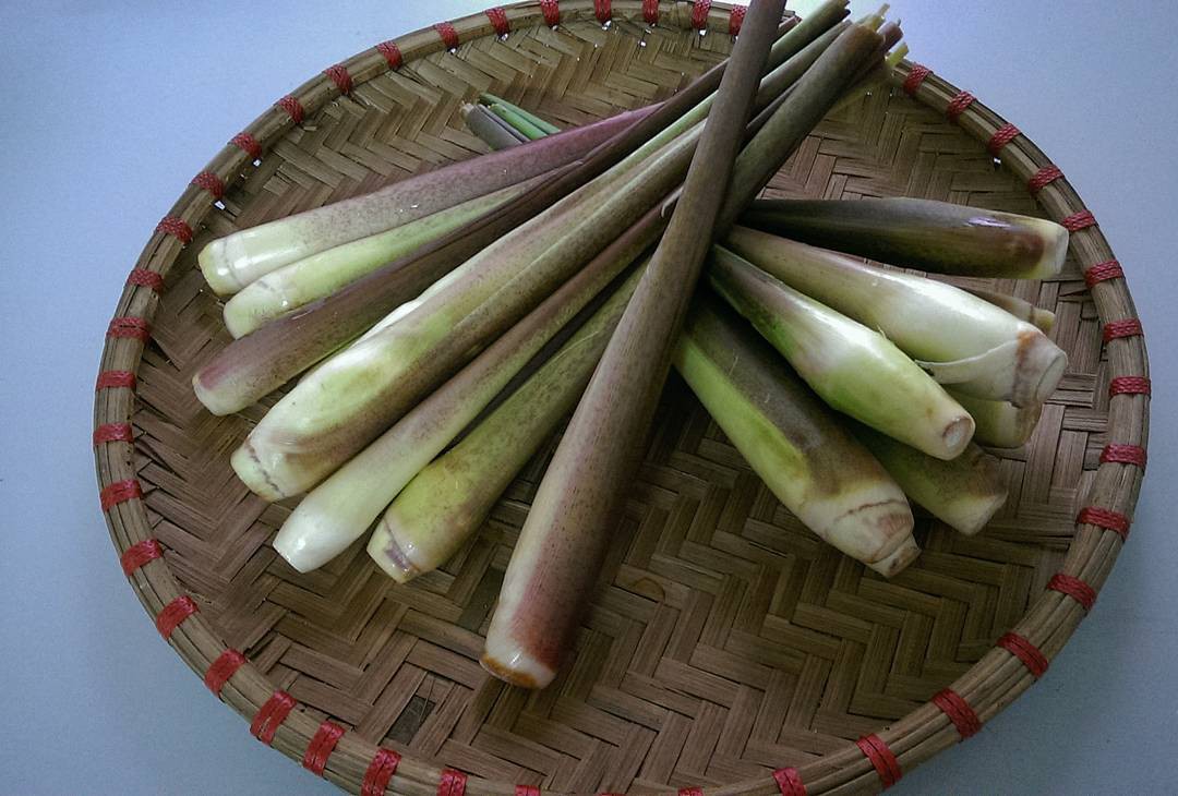 Củ sả có tác dụng gì?