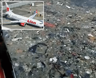 Thực hư những bức ảnh ghi lại khoảnh khắc hành khách nháo nhào sợ hãi trên chuyến bay định mệnh Lion Air JT610 - Ảnh 5.