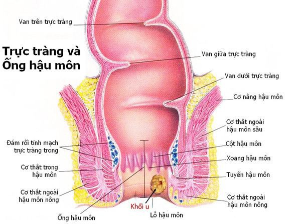 Dấu hiệu nhận biết sớm ung thư hậu môn - bệnh ung thư hiếm gặp đe dọa mạng sống của nhiều người nổi tiếng - Ảnh 5.