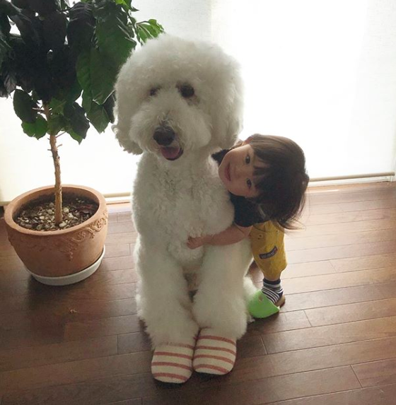Em bé Nhật Bản nhỏ xíu bên chú Poodle to đùng là cặp đôi ngôi sao mới nổi trên Instagram - Ảnh 16.