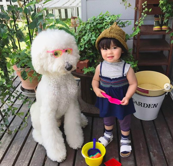 Em bé Nhật Bản nhỏ xíu bên chú Poodle to đùng là cặp đôi ngôi sao mới nổi trên Instagram - Ảnh 17.