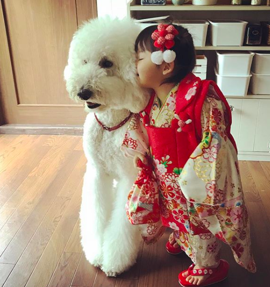 Em bé Nhật Bản nhỏ xíu bên chú Poodle to đùng là cặp đôi ngôi sao mới nổi trên Instagram - Ảnh 21.