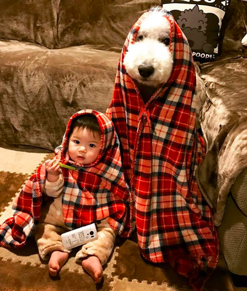 Em bé Nhật Bản nhỏ xíu bên chú Poodle to đùng là cặp đôi ngôi sao mới nổi trên Instagram - Ảnh 5.