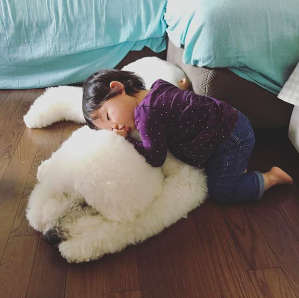 Em bé Nhật Bản nhỏ xíu bên chú Poodle to đùng là cặp đôi ngôi sao mới nổi trên Instagram - Ảnh 9.