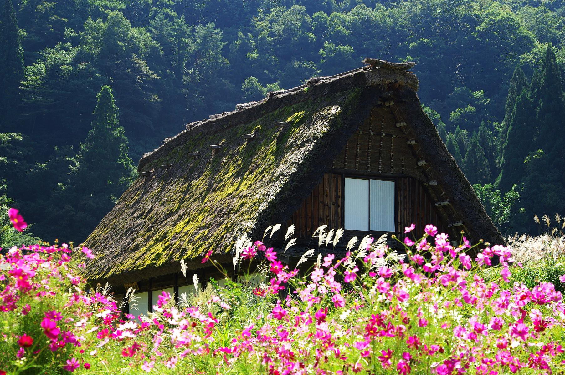 Với màu sắc nhẹ nhàng và đường nét tinh tế, bức tranh về ngôi nhà an yên tại vùng nông thôn Nhật Bản sẽ khiến bạn cảm thấy bình yên và thư thái. Không khí trong lành của nông thôn Nhật Bản sẽ làm cho bạn cảm thấy thật gần gũi với tự nhiên.
