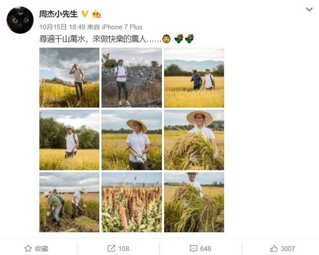 Không hề nghèo khó, Nhĩ Khang Châu Kiệt hạnh phúc với cuộc sống làm nông dân trồng lúa - Ảnh 5.