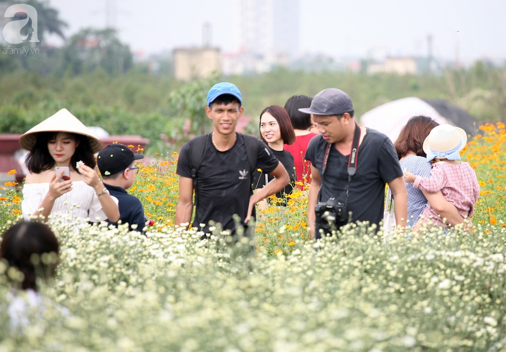 Phụ nữ, trẻ em chen nhau tạo dáng chụp ảnh kín đặc vườn cúc họa mi Nhật Tân - Ảnh 3.