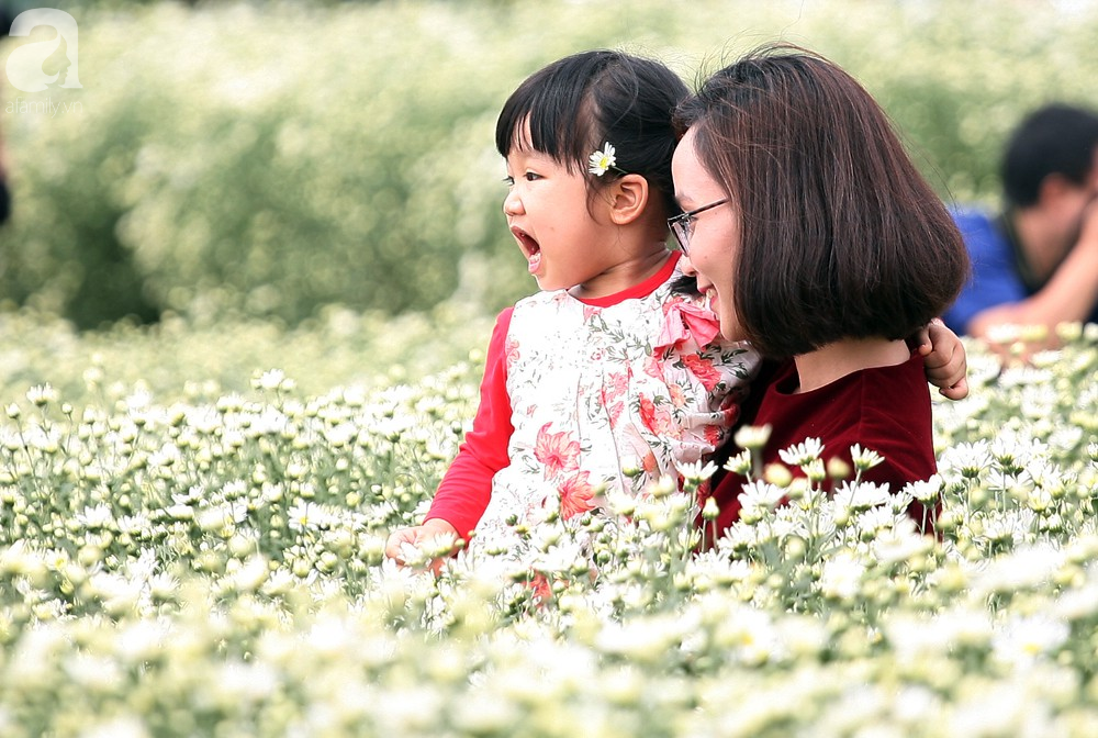 Phụ nữ, trẻ em chen nhau tạo dáng chụp ảnh kín đặc vườn cúc họa mi Nhật Tân - Ảnh 12.