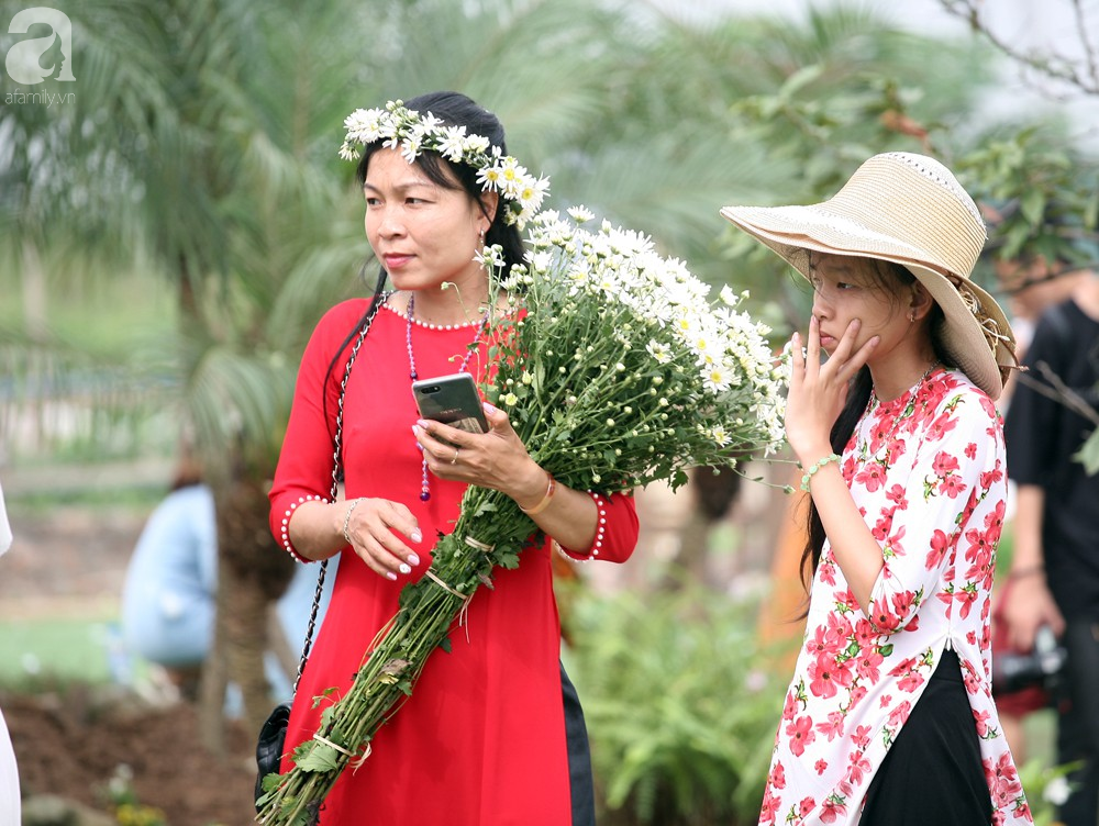 Phụ nữ, trẻ em chen nhau tạo dáng chụp ảnh kín đặc vườn cúc họa mi Nhật Tân - Ảnh 9.