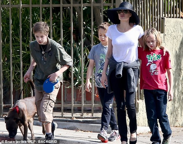 Angelina Jolie đưa con ruột đi chơi trước ngày hội ngộ Brad Pitt tại tòa nhưng 3 con nuôi thì vắng mặt  - Ảnh 4.