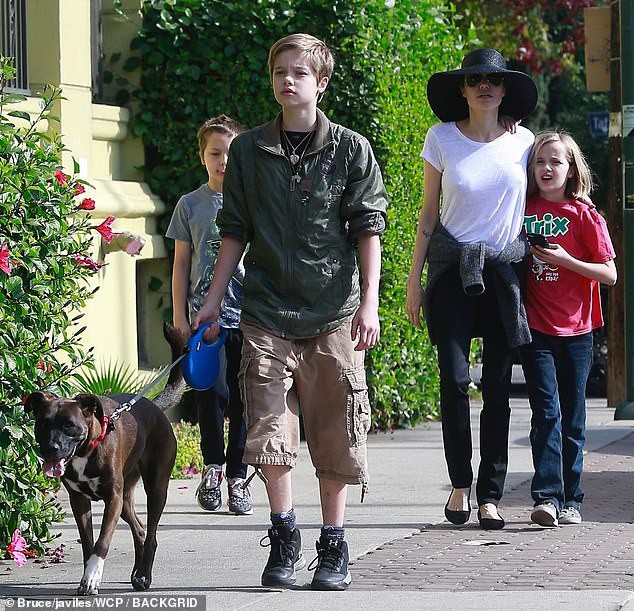 Angelina Jolie đưa con ruột đi chơi trước ngày hội ngộ Brad Pitt tại tòa nhưng 3 con nuôi thì vắng mặt  - Ảnh 1.