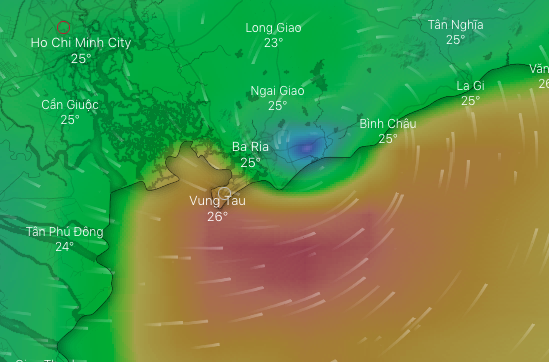 Cập nhật về bão số 9: Sài Gòn mưa trắng trời khiến cây xanh ngã đổ, Vũng Tàu vẫn đang oằn mình chống bão - Ảnh 1.