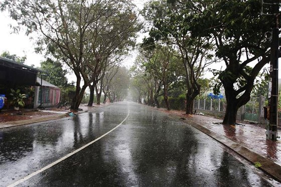 Cập nhật về bão số 9: Sài Gòn mưa trắng trời khiến cây xanh ngã đổ, Vũng Tàu vẫn đang oằn mình chống bão - Ảnh 14.
