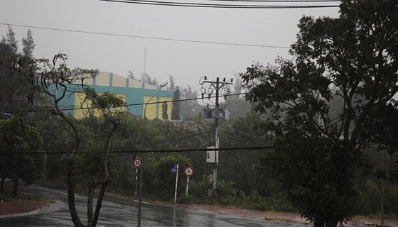 Cập nhật về bão số 9: Sài Gòn mưa trắng trời khiến cây xanh ngã đổ, Vũng Tàu vẫn đang oằn mình chống bão - Ảnh 15.