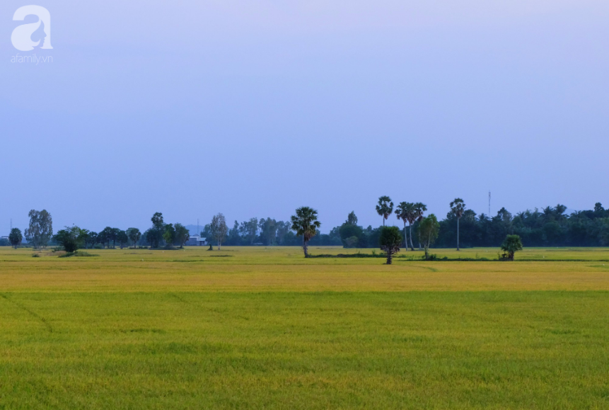 Thốt nốt, đặc sản thử một lần vương vấn một đời của An Giang - Ảnh 1.