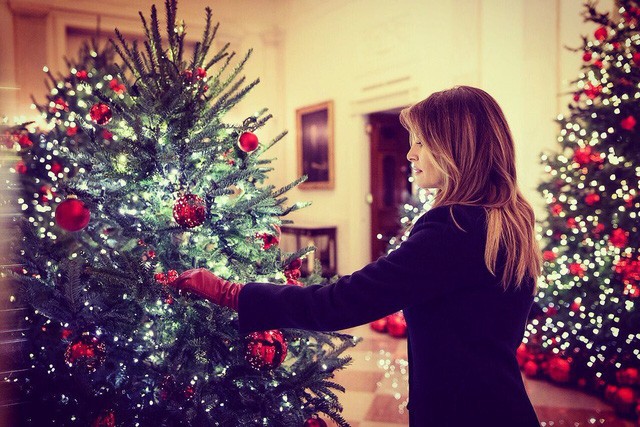 Trang trí Giáng sinh cho Nhà Trắng, bà Melania Trump gây tranh cãi khi sử dụng toàn cây thông màu đỏ - Ảnh 7.