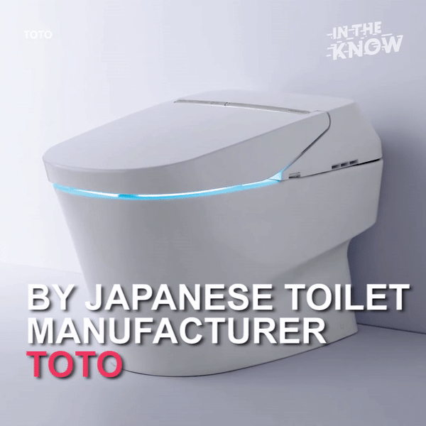 Chiếc toilet trị giá 230 triệu này có vô vàn tính năng mà ai cũng muốn - Ảnh 2.