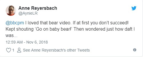 Đoạn clip chú gấu con leo núi truyền cảm hứng cho hàng triệu dân mạng với thông điệp Đừng bao giờ bỏ cuộc nhé!!! - Ảnh 7.