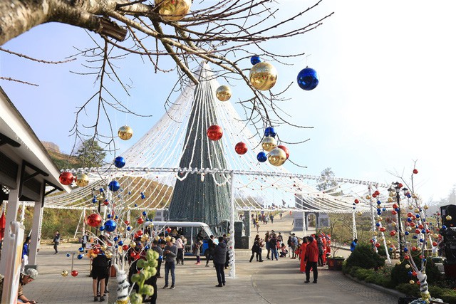 Du khách đổ lên Fansipan chiêm ngưỡng phiên bản Việt của “cây thông Noel đẹp nhất châu Âu” - Ảnh 2.
