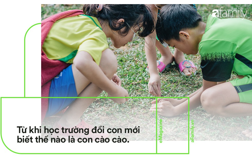 Ngôi trường đồi cách Hà Nội 40km, nơi con trẻ được thoải mái vẫy vùng và bỏ xuống gánh nặng điểm số - Ảnh 9.