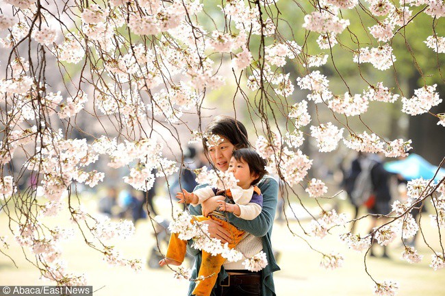 5 quy tắc nuôi dạy con của cha mẹ Nhật mà mọi phụ huynh nên học hỏi - Ảnh 1.