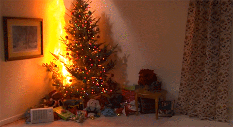 Chưa kịp tận hưởng không khí Giáng Sinh, cả gia đình mất luôn nhà chỉ vì cây thông Noel - Ảnh 6.