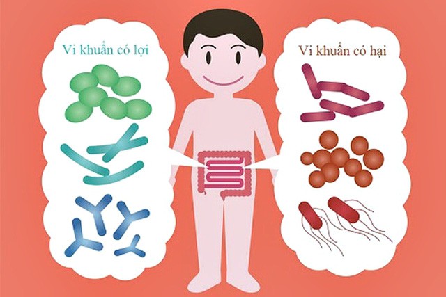 Bổ sung men vi sinh cho trẻ: vô hiệu nếu tỉ lệ lợi khuẩn sống sót trong ruột thấp - Ảnh 1.
