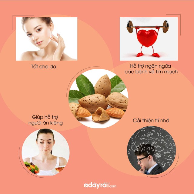 5 lý do sữa hạt là nguồn năng lượng chuẩn cho những tín đồ “sống xanh” - Ảnh 1. 5 lý do sữa hạt là nguồn năng lượng chuẩn cho những tín đồ “sống xanh” - Ảnh 1.