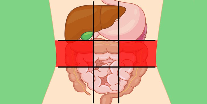 Nhờ bản đồ bụng này mà bạn sẽ biết các cơn đau ở mỗi vị trí trên bụng là do nguyên nhân nào gây ra - Ảnh 4.