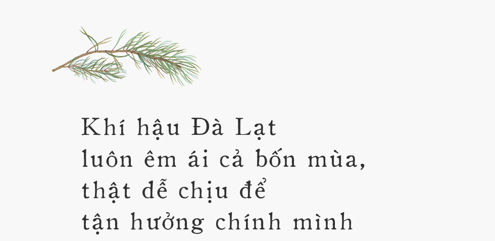 Đà Lạt - Mảnh đất cao nguyên giá lạnh êm đềm ai cũng gọi tên dịp cuối năm - Ảnh 3.