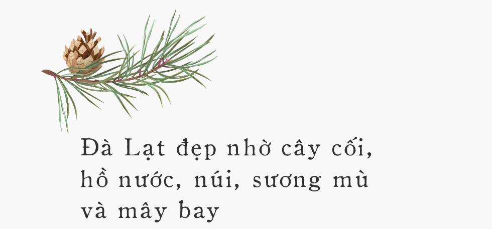 Đà Lạt - Mảnh đất cao nguyên giá lạnh êm đềm ai cũng gọi tên dịp cuối năm - Ảnh 6.