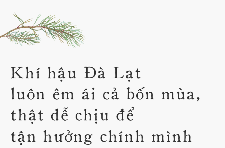 Đà Lạt - Mảnh đất cao nguyên giá lạnh êm đềm ai cũng gọi tên dịp cuối năm - Ảnh 3.