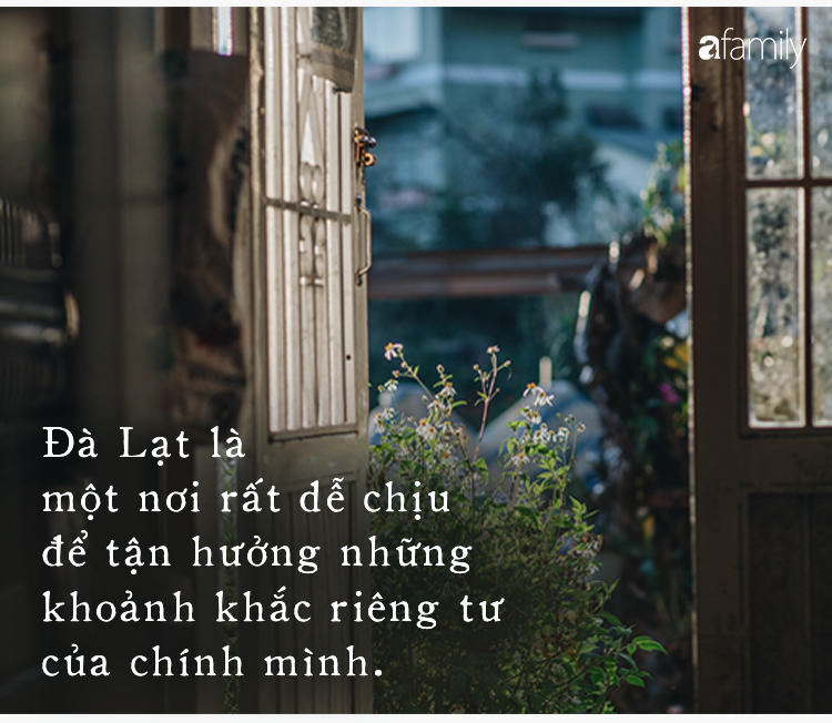 Đà Lạt - Mảnh đất cao nguyên giá lạnh êm đềm ai cũng gọi tên dịp cuối năm - Ảnh 4.