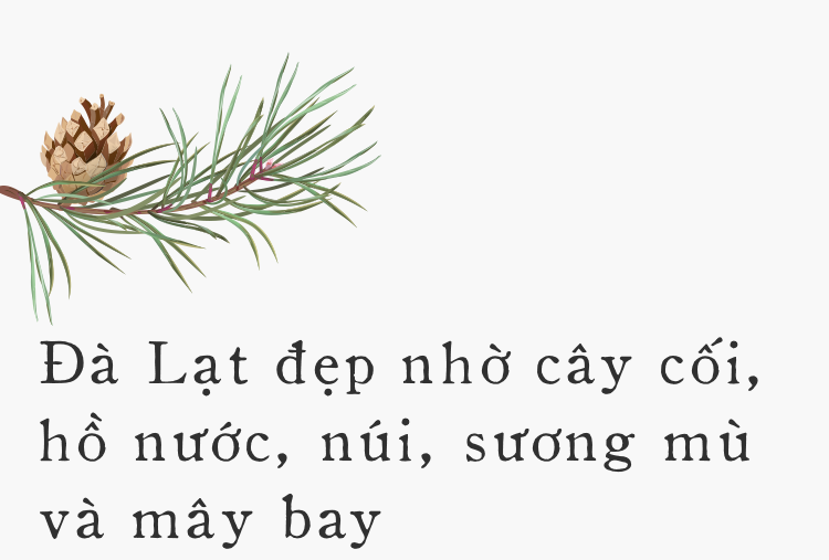 Đà Lạt - Mảnh đất cao nguyên giá lạnh êm đềm ai cũng gọi tên dịp cuối năm - Ảnh 6.