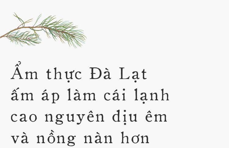 Đà Lạt - Mảnh đất cao nguyên giá lạnh êm đềm ai cũng gọi tên dịp cuối năm - Ảnh 10.