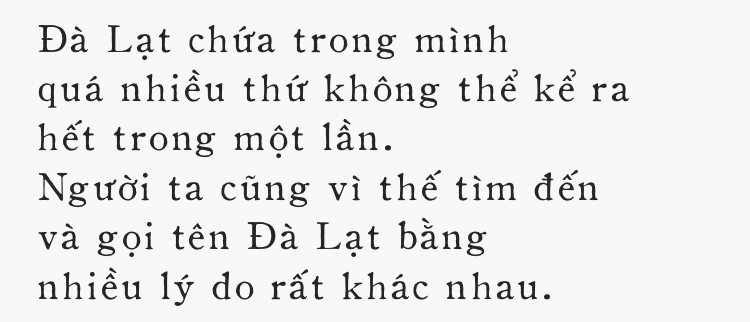 Đà Lạt - Mảnh đất cao nguyên giá lạnh êm đềm ai cũng gọi tên dịp cuối năm - Ảnh 15.