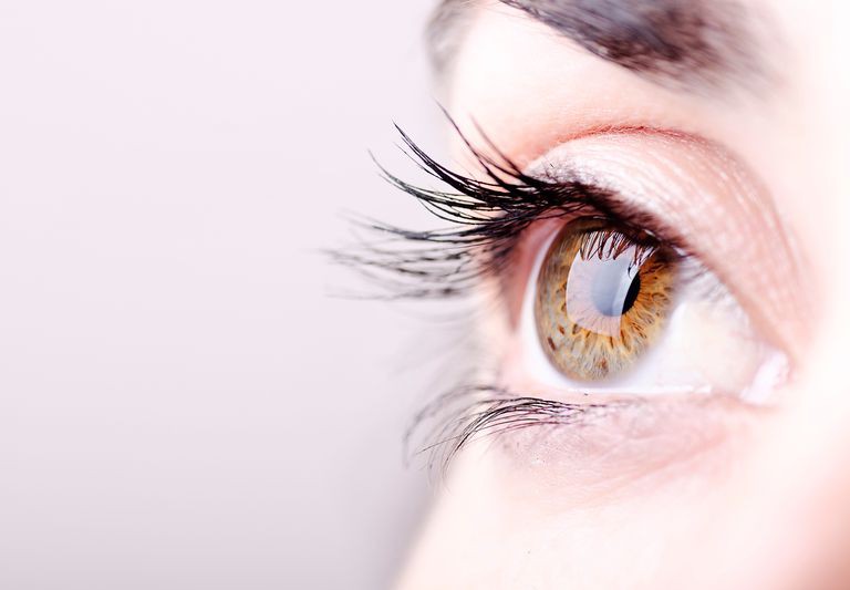 Lông mi, thậm chí cả khuôn mặt của bạn thực ra vô cùng bẩn vì lúc nào cũng có những con bọ này làm tổ - Ảnh 1. Lông mi, thậm chí cả khuôn mặt của bạn thực ra vô cùng bẩn vì lúc nào cũng có những con bọ này làm tổ - Ảnh 1.