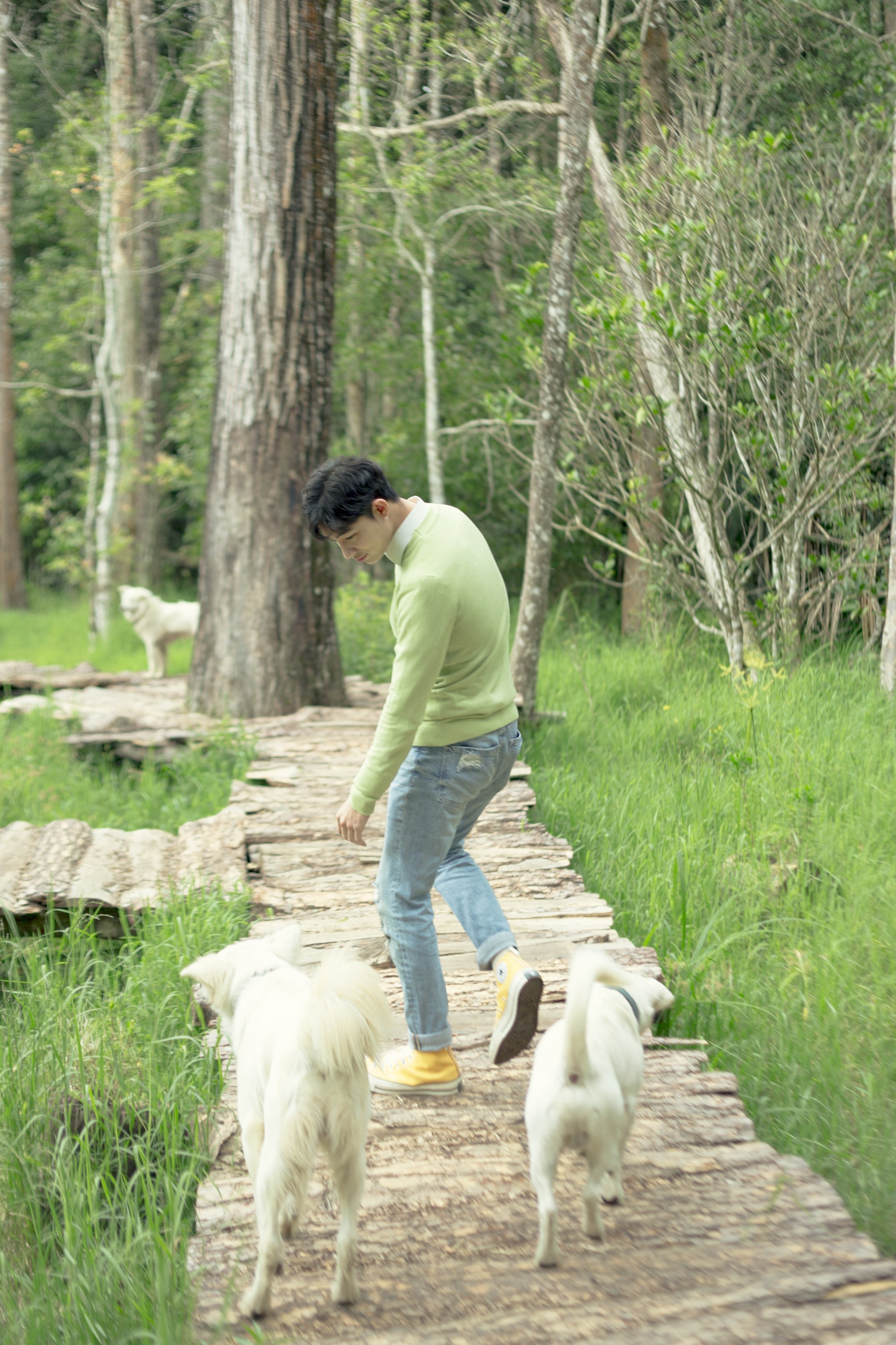 img_0819-recovered copy