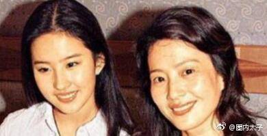 Nhan sắc lão hoá ngược của mẹ Lưu Diệc Phi: U60 mà vẫn đẹp khó tin, khiến netizen tranh nhau nhận làm mẹ vợ - Ảnh 6.