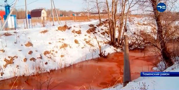 Sông máu bất ngờ xuất hiện ở Nga, người dân vô cùng hoang mang trong khi các chuyên gia đau đầu đi tìm lời giải - Ảnh 1.
